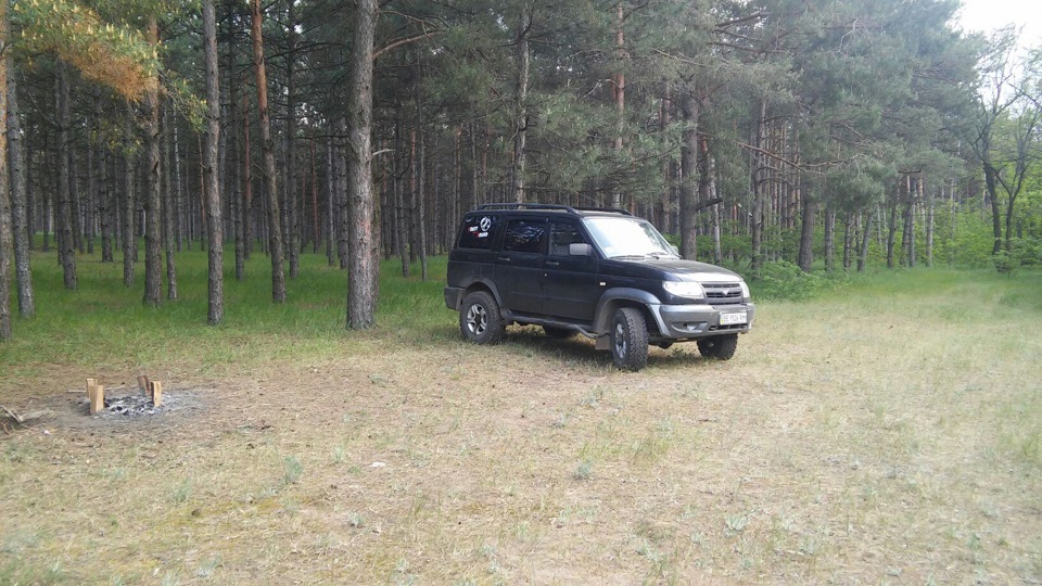 Виїхали на природу Ташкентський ліс 1