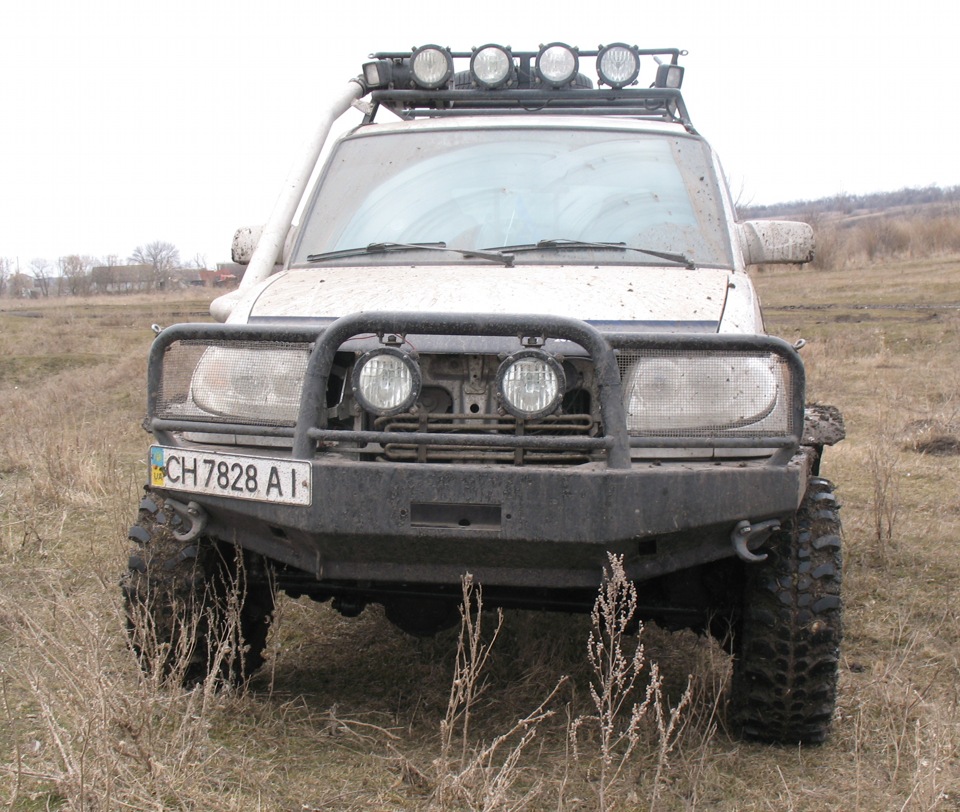 ось уже рік... 4