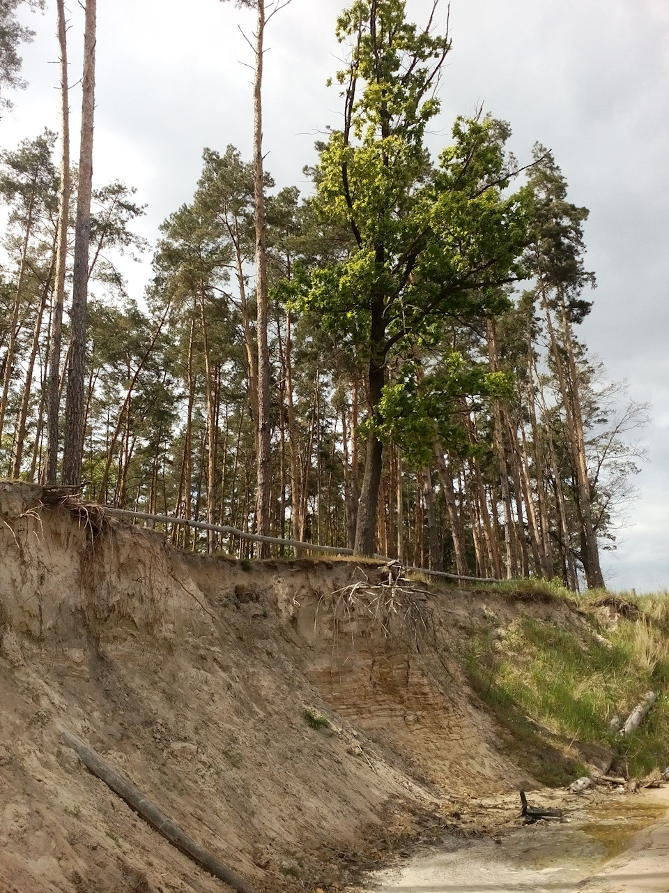 Київське море (навчіть їздити піском) 5