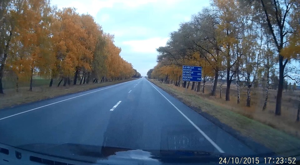 Поїздка на батьківщину 2