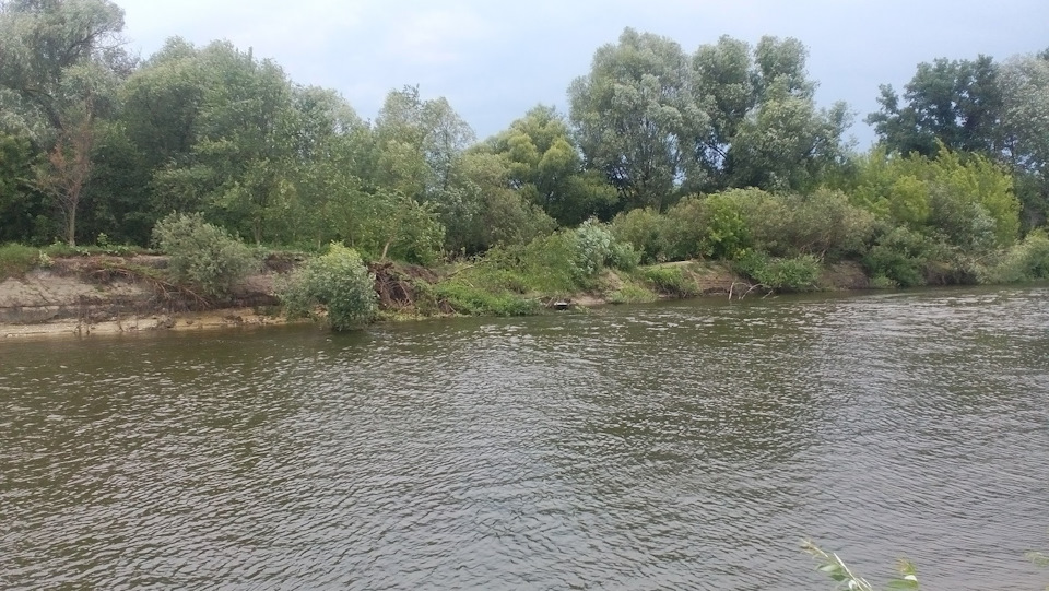 Подорож додому. Річка Сейм 3