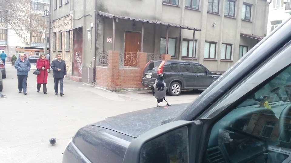 Шляхові нотатки 5
