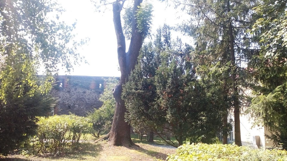 Ужгородський замок 3