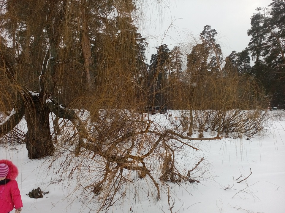 Вихідні та сніг 5