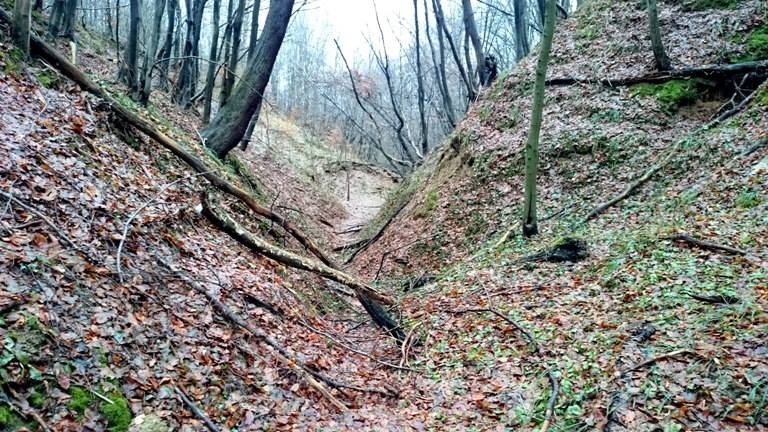 1-й етап Кубка Львова з трофі, підготовка 3