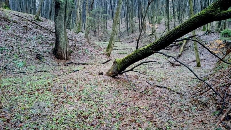 1-й етап Кубка Львова з трофі, підготовка 1