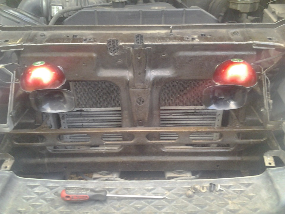 Нормальний звук у кабанчика 1