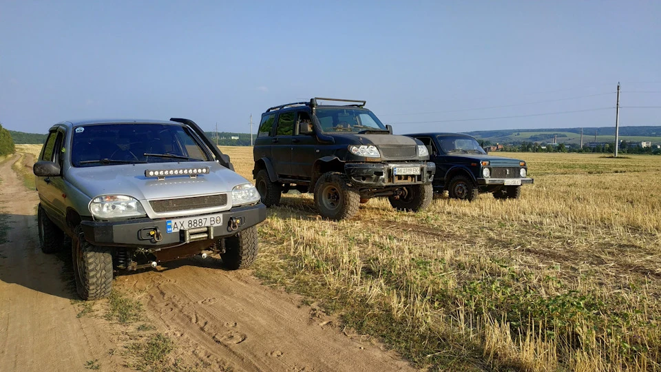 Шукали бруд для покотушки