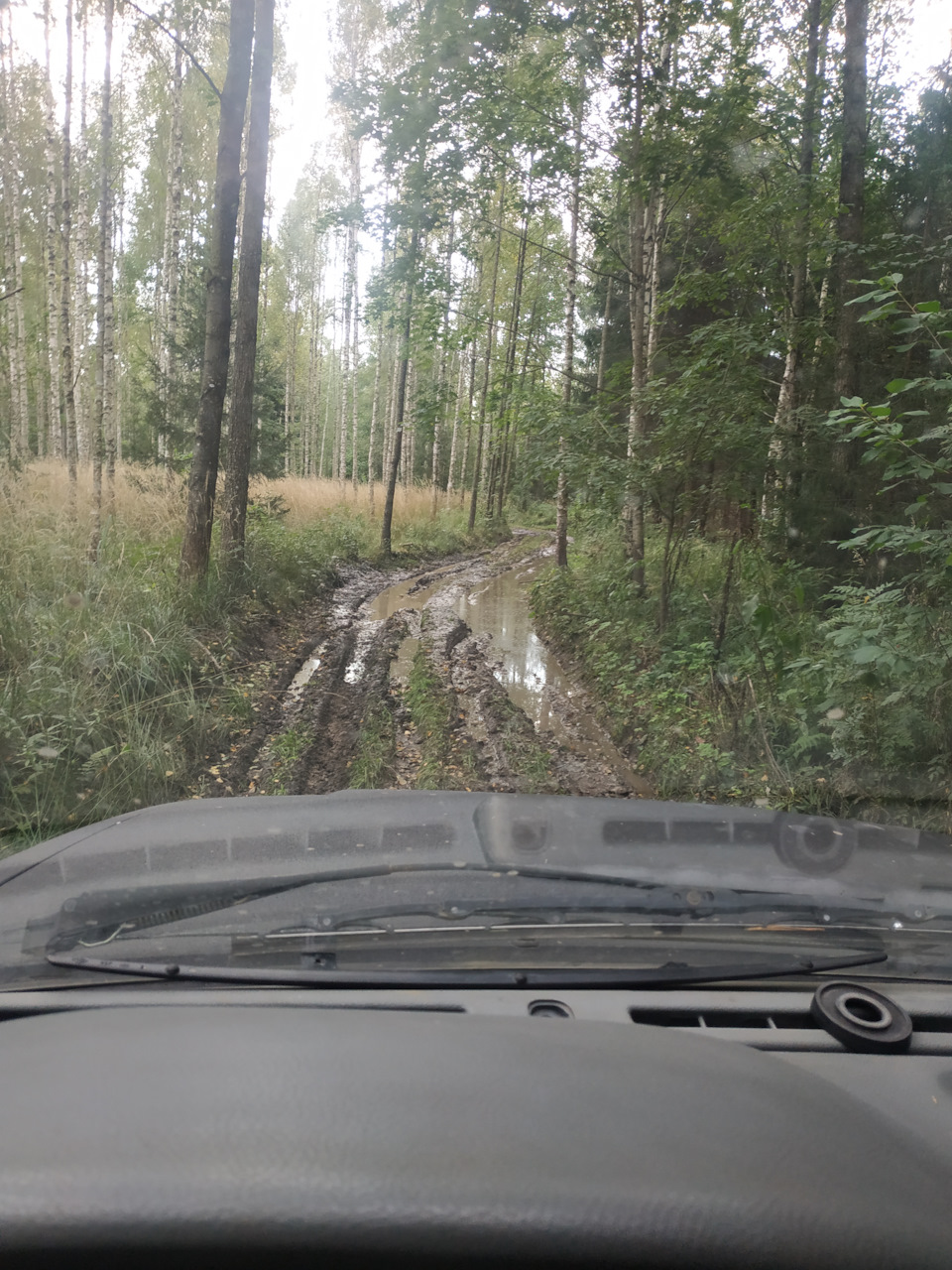 Поїздки Литвою і зміна тапочок) 3