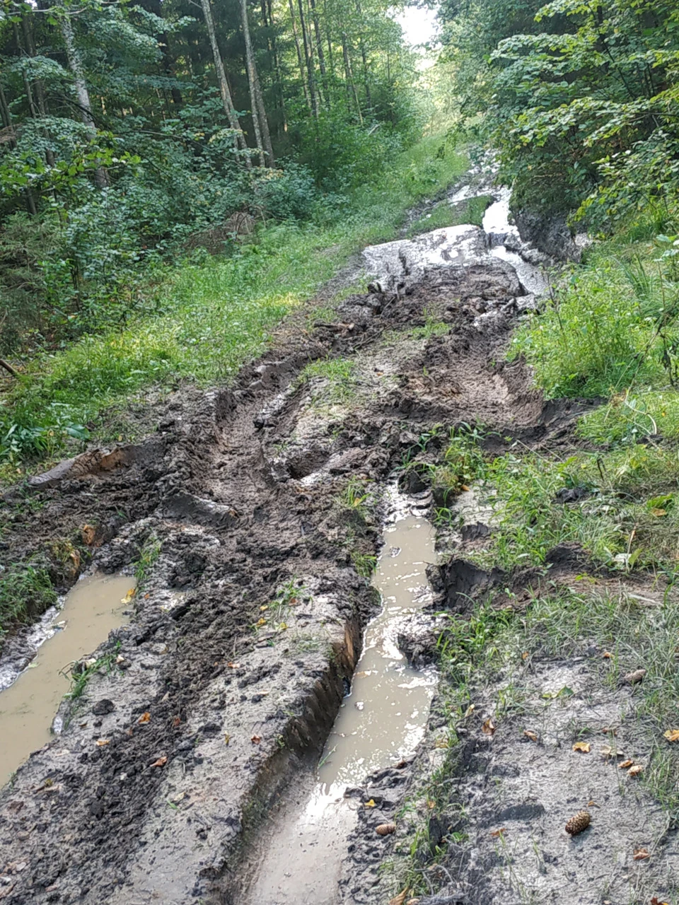 Поїздки Литвою і зміна тапочок)