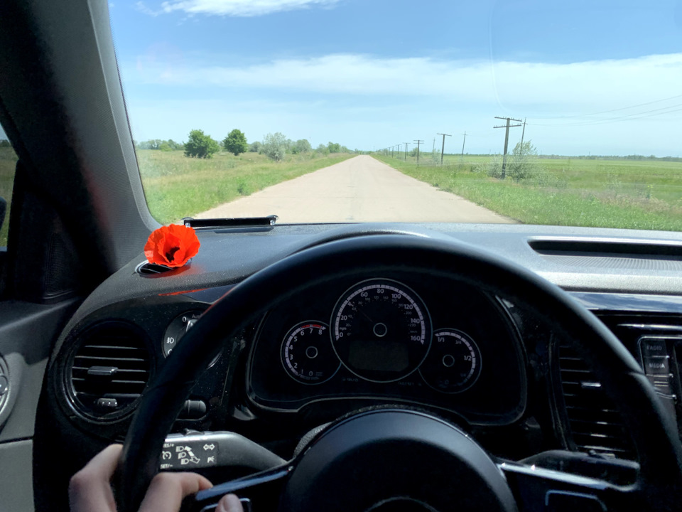 3220 кілометрів на Південь України ч.2: Одеса - Залізний Порт - Рожеве Озеро - Асканія-Нова - Олешківські піски 5