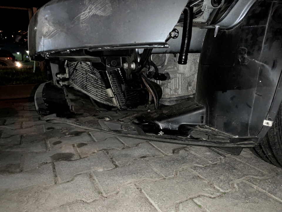 Він живий! Перша зустріч) 5