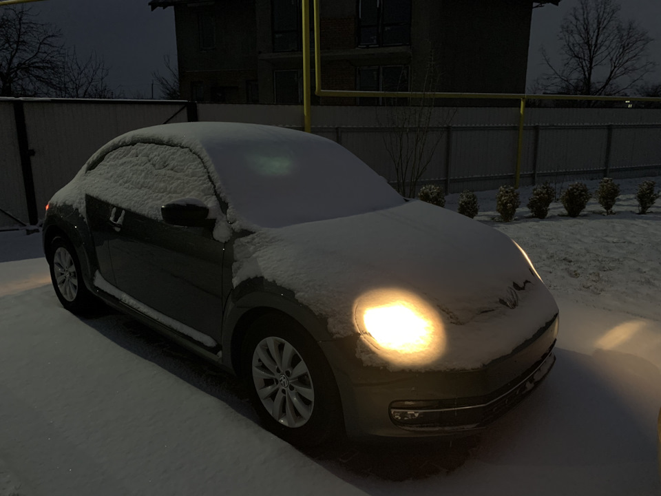 З першим снігом!) 1