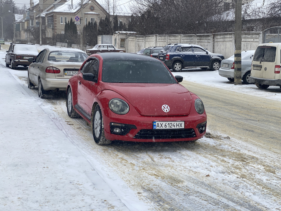 Затягнув дах у чорну плівку 1