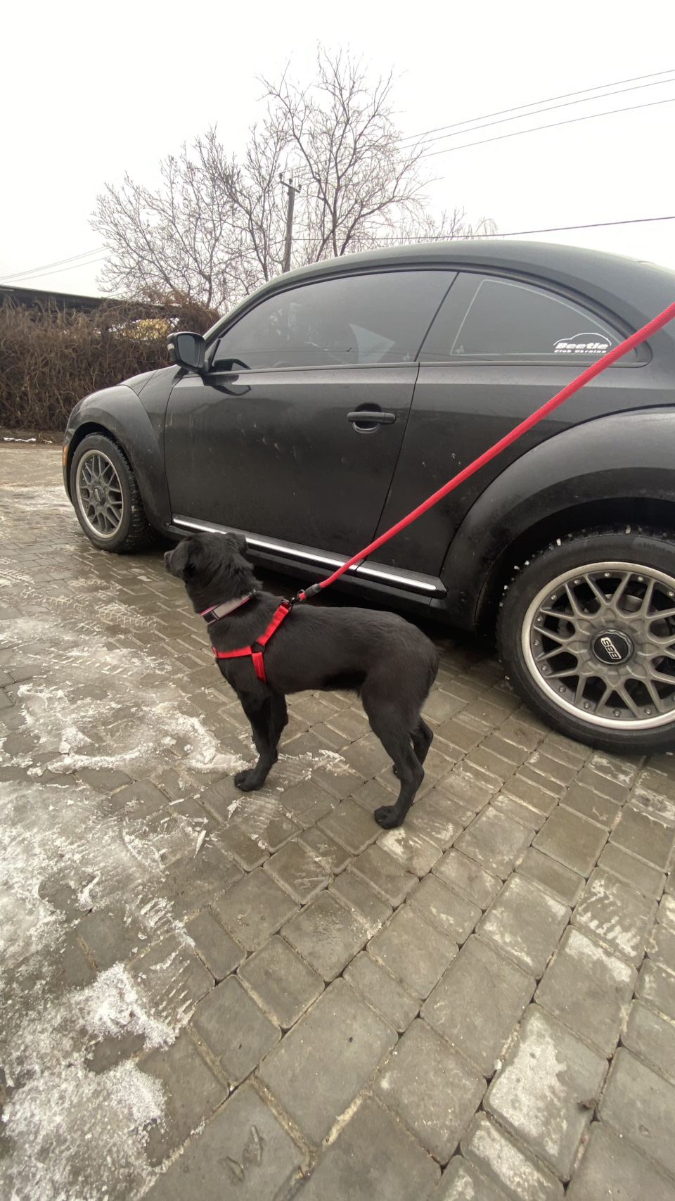 Новорічна зустріч Beetle Club Ukraine в Одесі 1