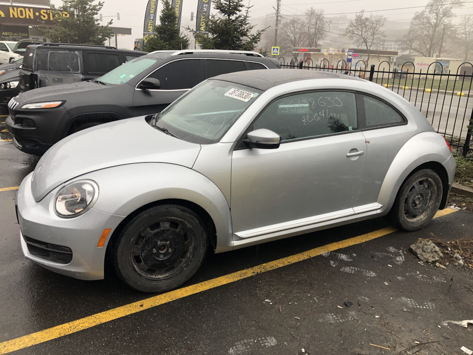 Готування та фарбування Beetle 2