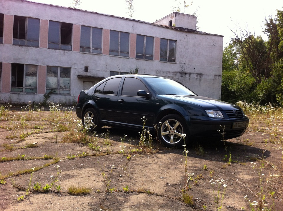 Просто кілька нових фотографій… 2