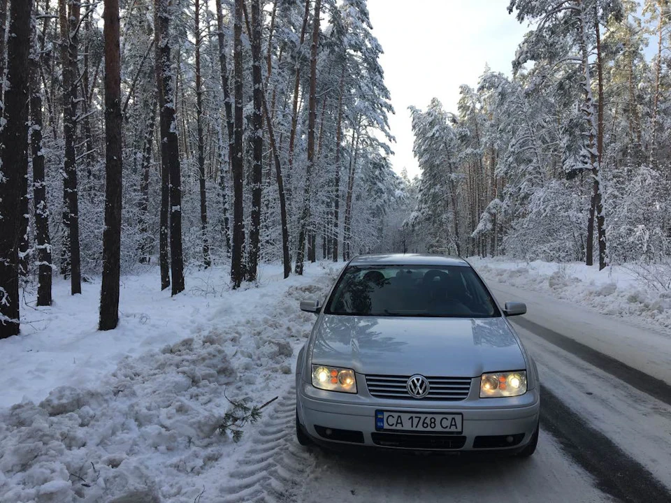 Прості зимові фото