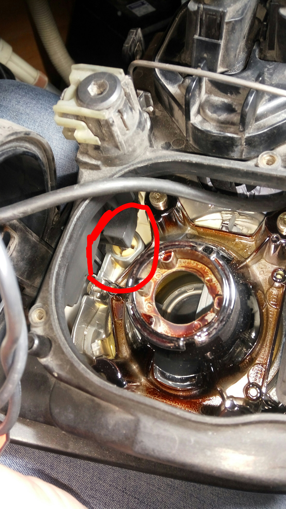 XENON OEM Потрібна порада з фар хто розбирав 3