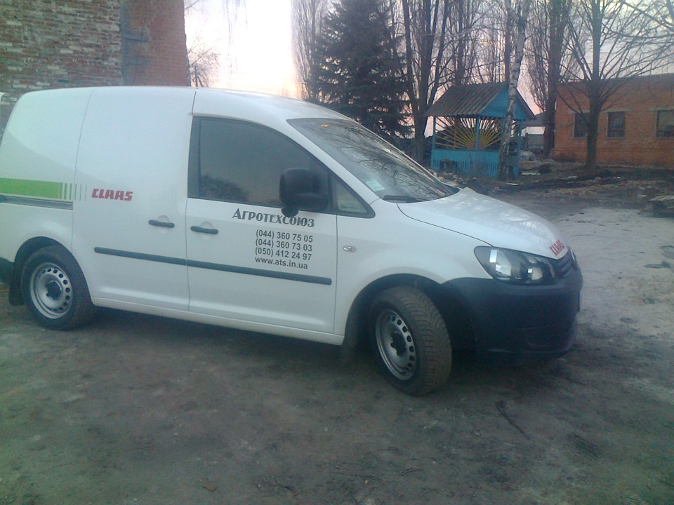 акваріум затемнив трохи) 2