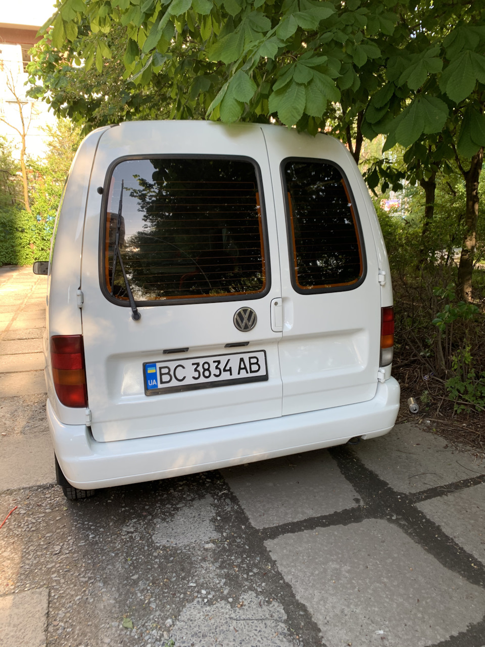 Кед у всій красі 3