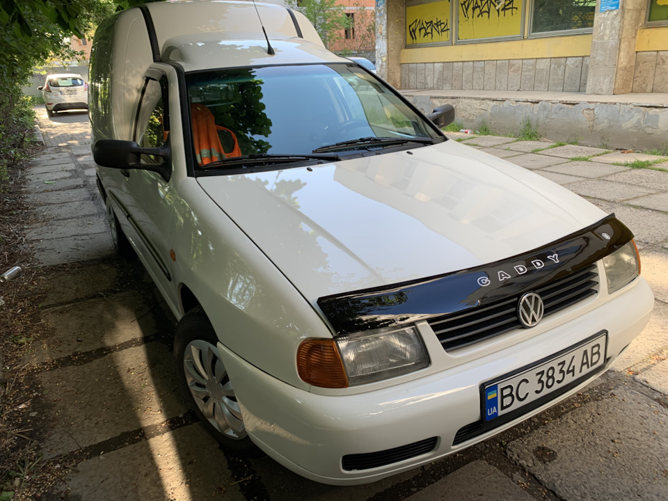 Кед у всій красі 5
