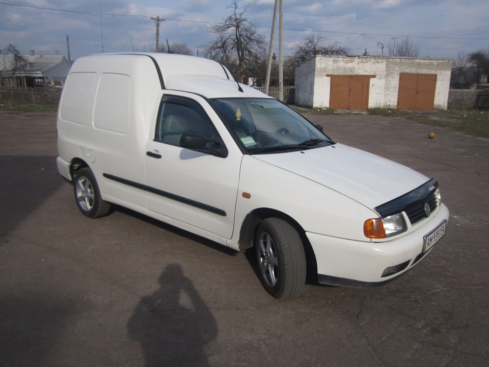 Муха з тавреги 5