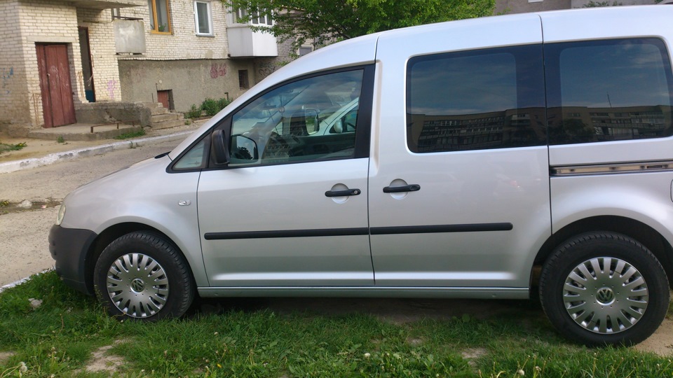 Свіжі фото нашвидкуруч 5