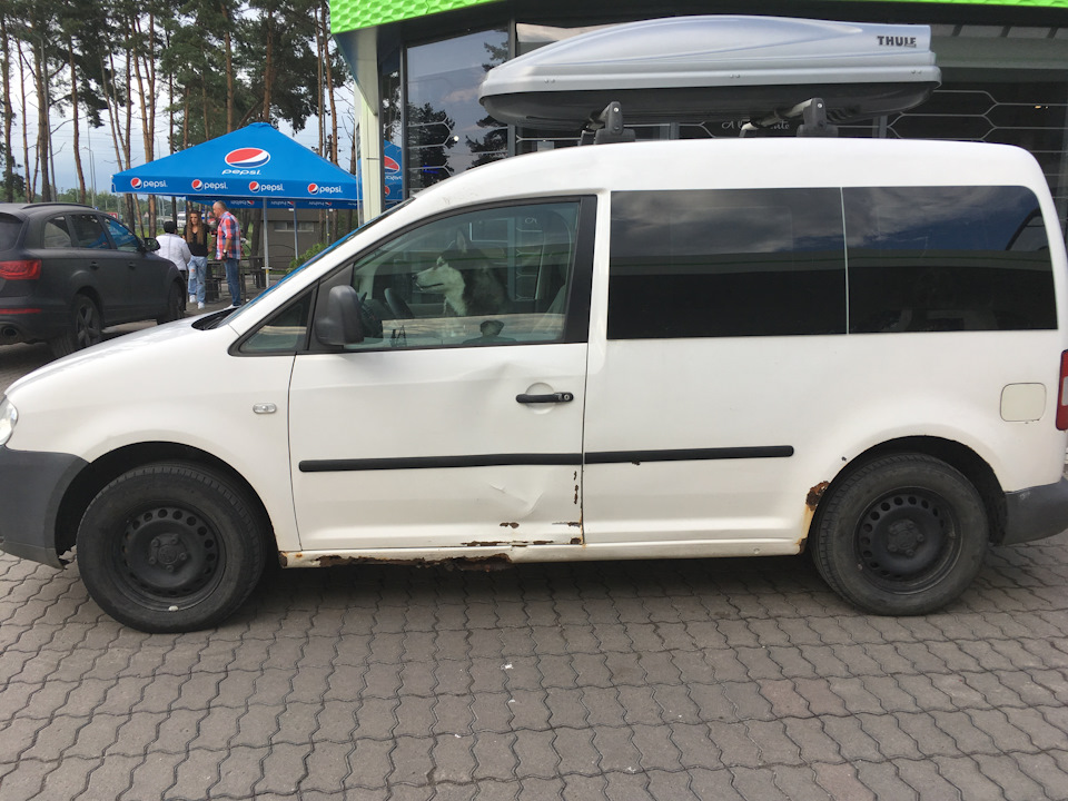 Кед досі не згнив! ;) 2