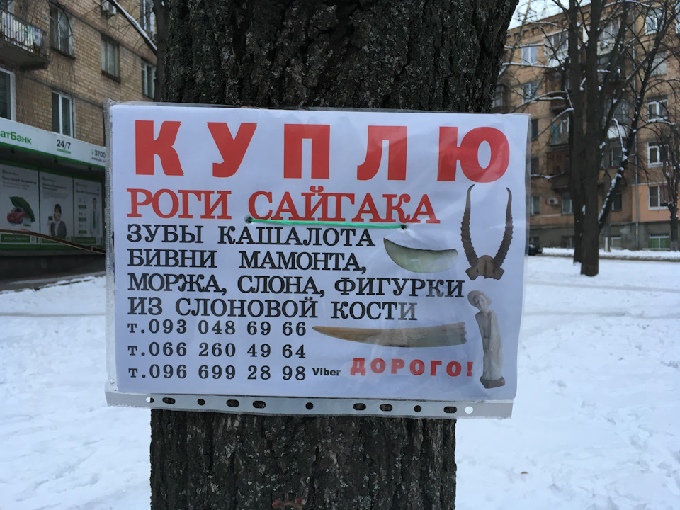 Схід-самохід 5