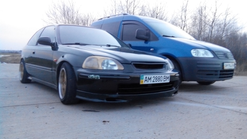 фото сіток! 3