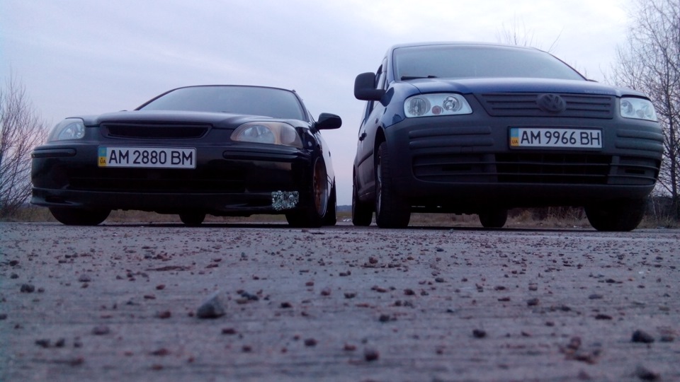 фото сіток! 2