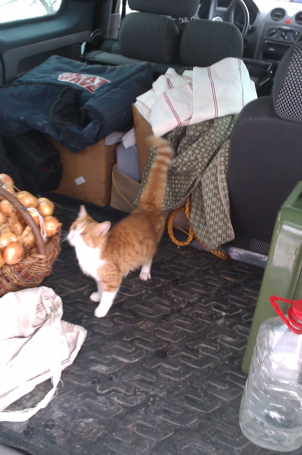 Коте та Кед 2