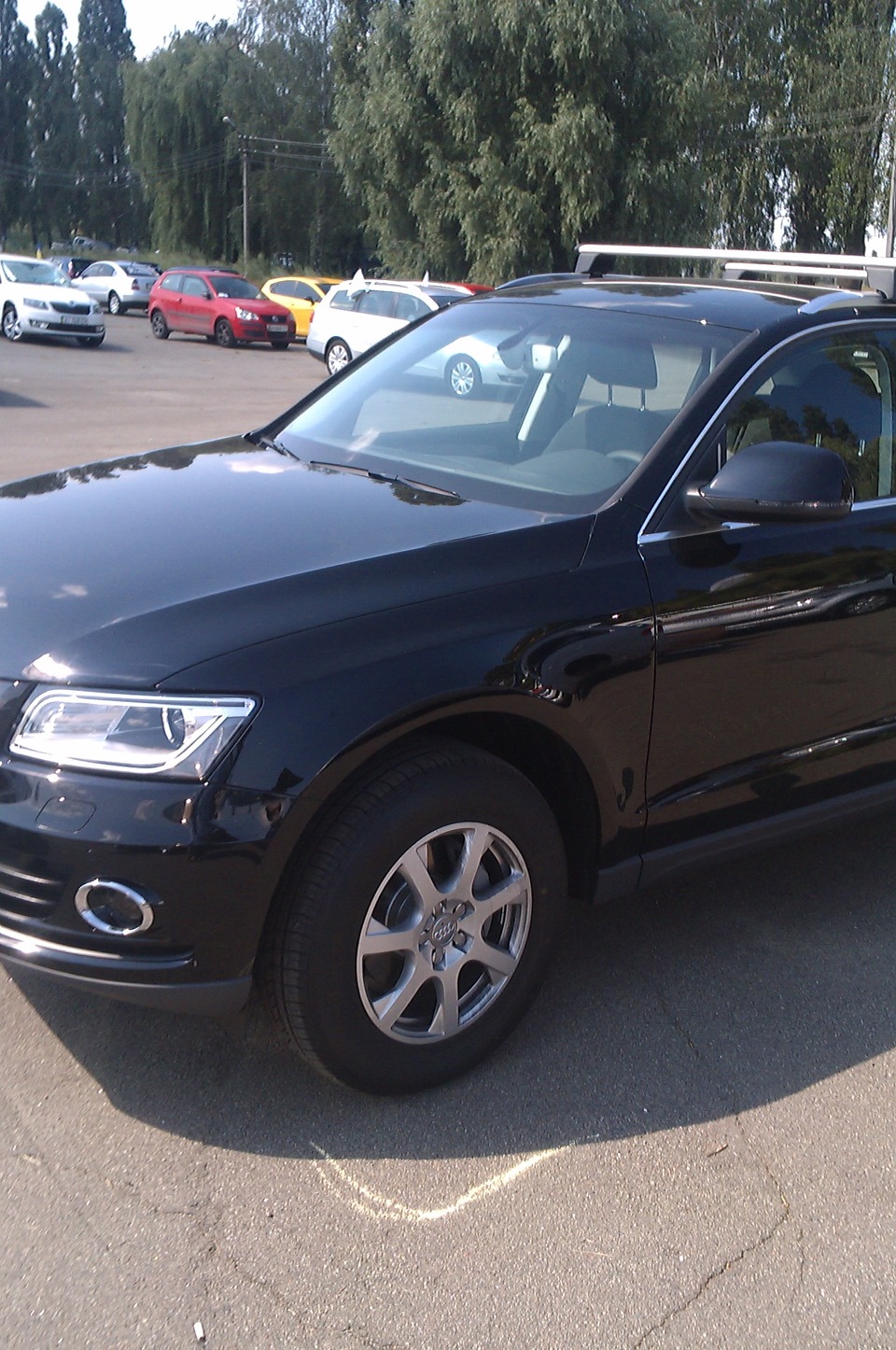volkswagen fest Ukraine 2014 5