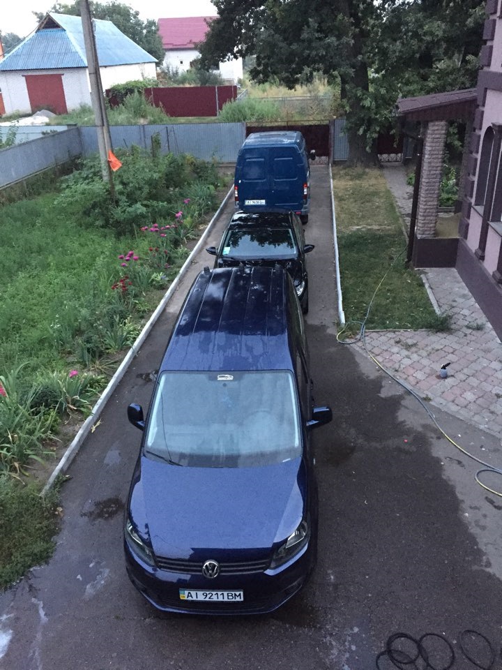 VAG Family 1