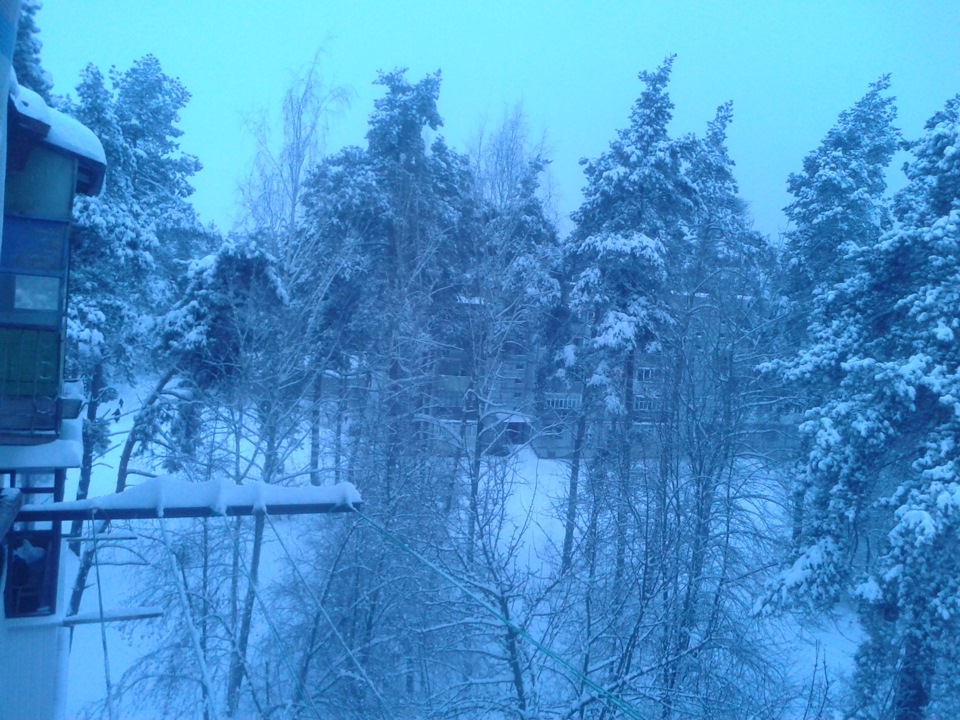 Замело 5