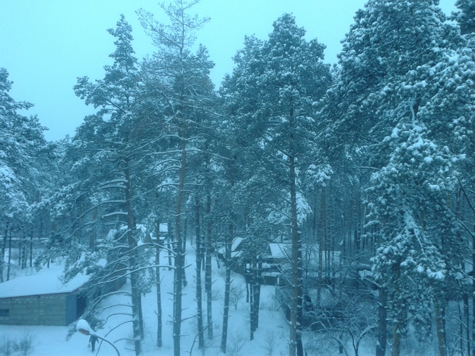 Замело 2