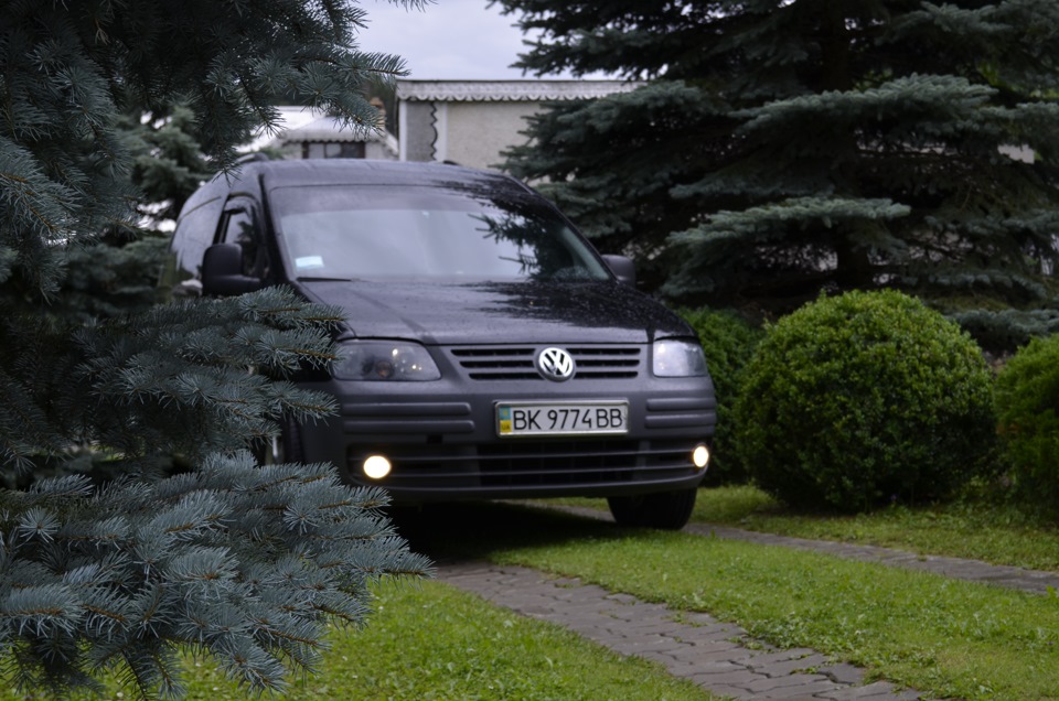 Домашній фотосетик=) 2