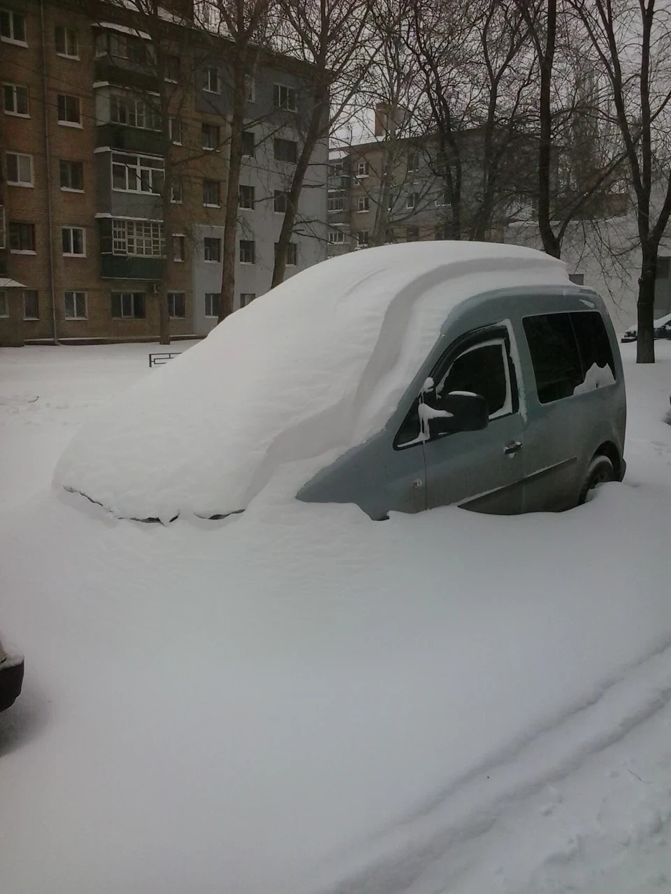 Ось випав сніг.