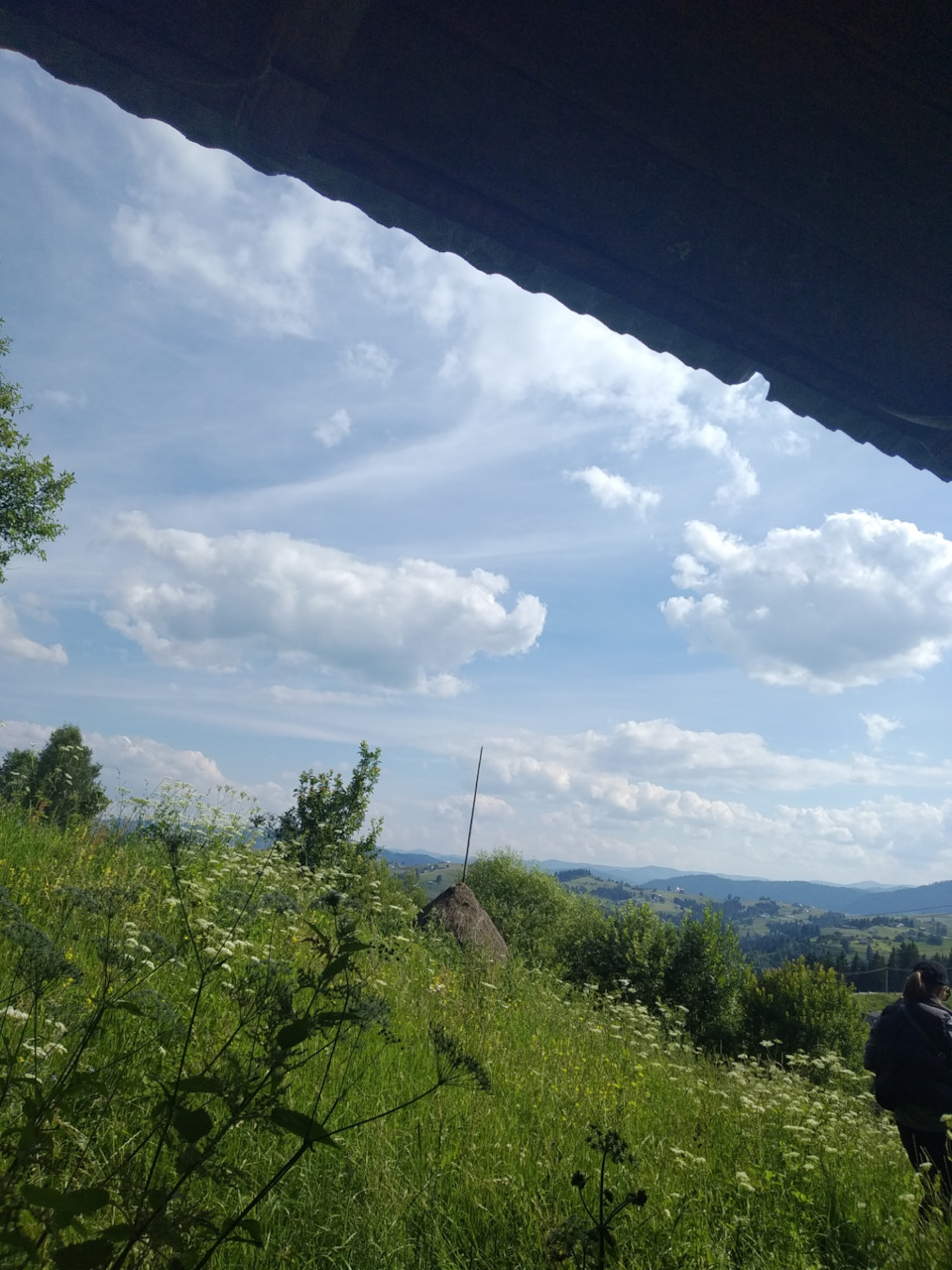 Дорогі друзі… 5