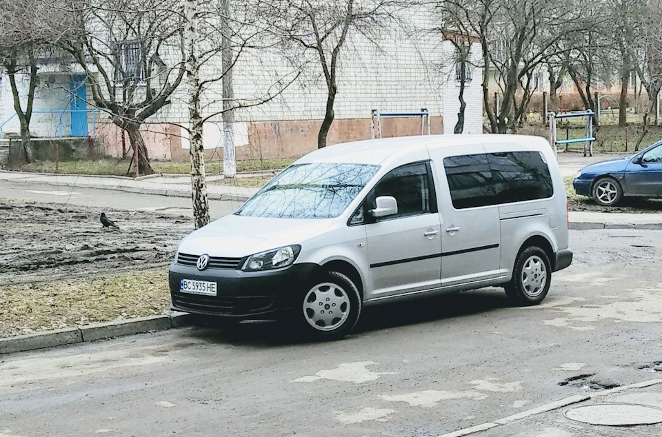 Контрасти 1