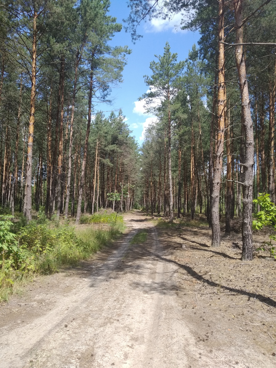 Відпускне 2