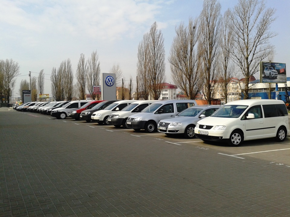 #50 - Caddy Club Україна 1 рік 2