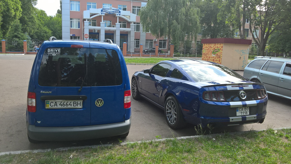 Будні з Кадді і потрібна порада! 2
