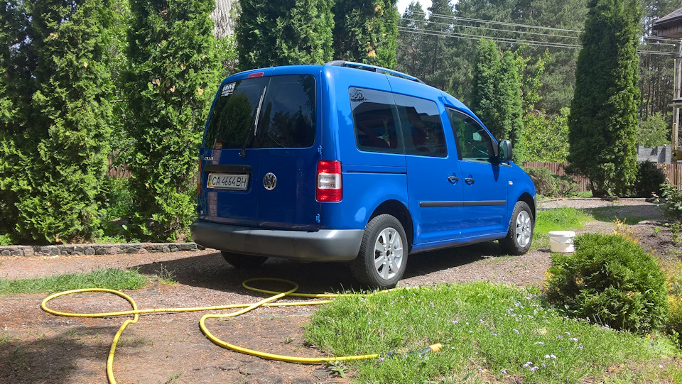 Будні з Кадді і потрібна порада! 4