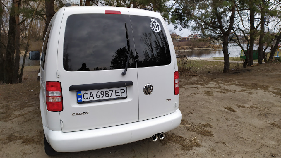самець 4