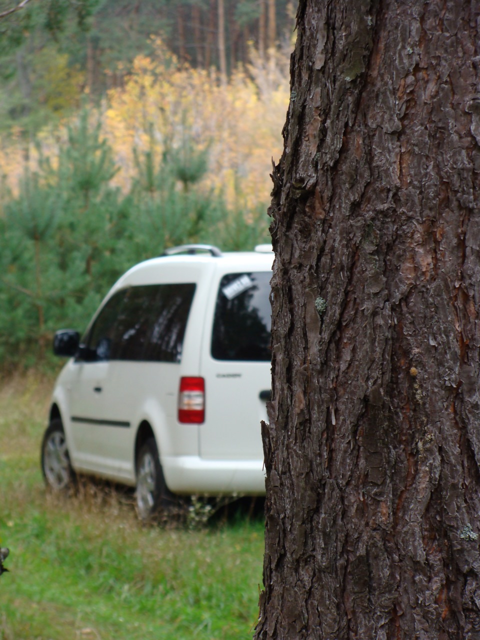 ...і наш Caddy 2