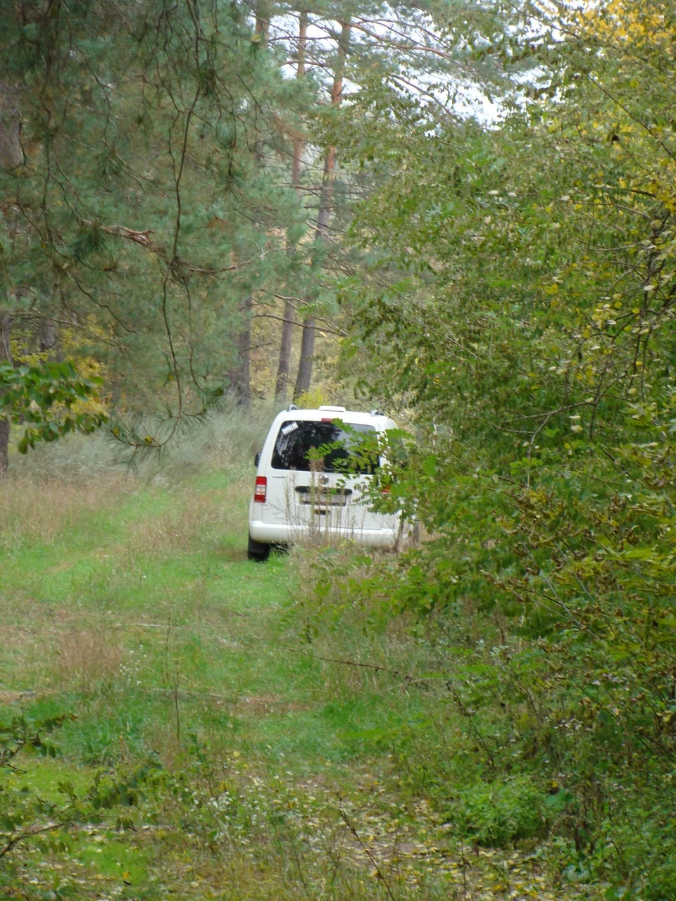 ...і наш Caddy