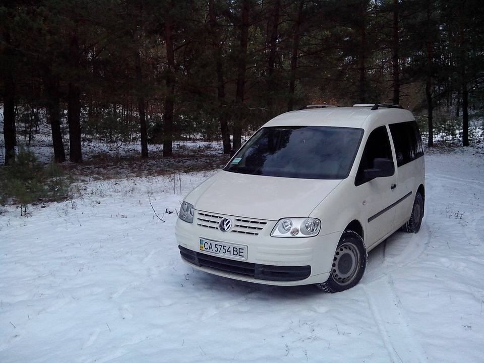 Зима, ліс, кадик))))) 1