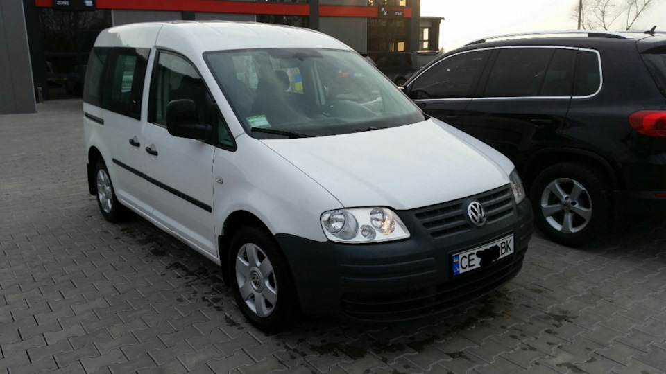 Купив caddy білку 1